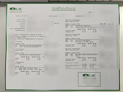 Read more about the article Must-Read Tips for You to buy fake Lebanese American University (LAU) transcript