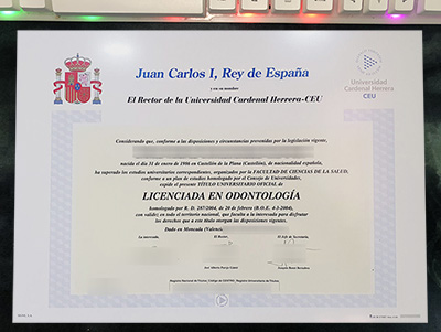 Read more about the article The Best Benefit of Buy Universidad CEU Cardenal Herrera Diploma