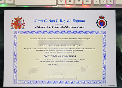 Read more about the article How to Buy Fake Universidad Rey Juan Carlos Diploma on the Internet