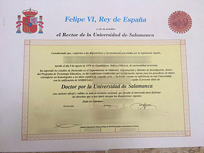 Read more about the article The Doable Ways to Buy Universidad de Salamanca Diploma