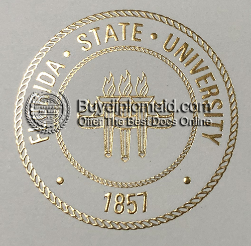 FSU Diploma seal